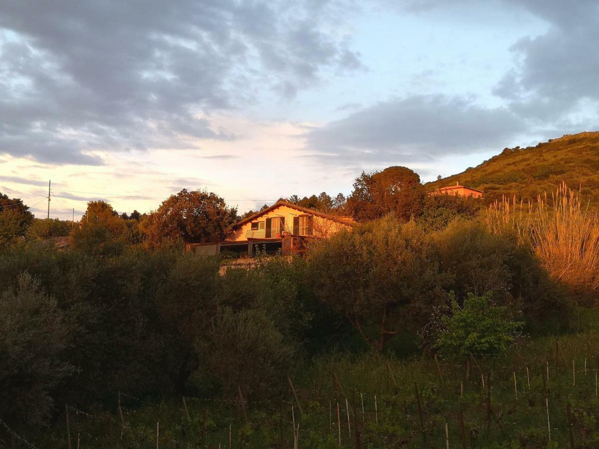 La Tinaia Country House Magomadas Exterior foto