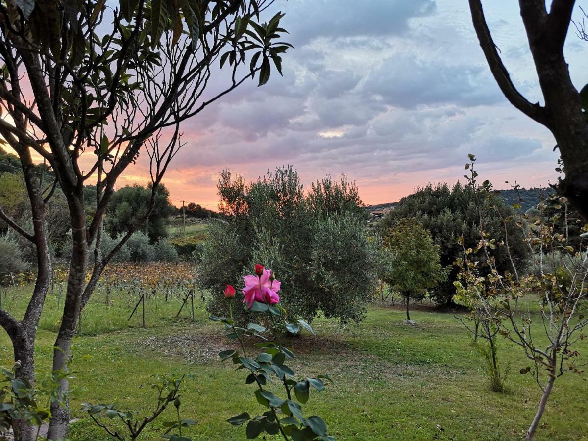 La Tinaia Country House Magomadas Exterior foto
